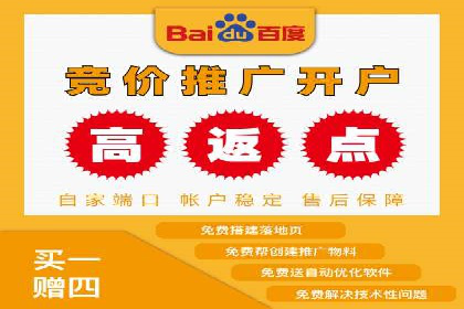 深入解析SEM账户竞价运营成功案例